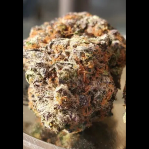 HUMBOLDT SEED ORGANIZATION - GHOSTSCOTTI REG