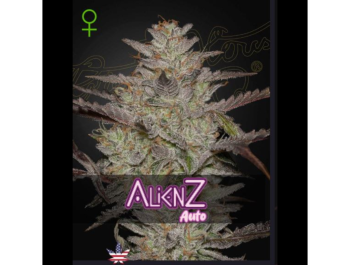 GREEN HOUSE SEED CO. - ALIENZ AUTO FEM