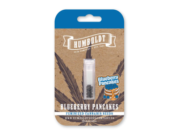 HUMBOLDT SEEDS COMPANY - BLUEBERRY PANCAKES FEM