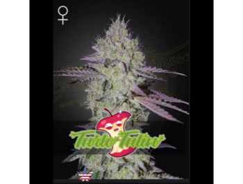 GREEN HOUSE SEED CO. - TARTE TATIN FEM