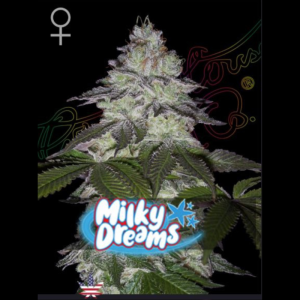 GREEN HOUSE SEED CO. - MILKY DREAMS FEM