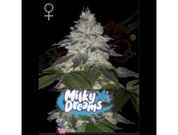 GREEN HOUSE SEED CO. - MILKY DREAMS FEM
