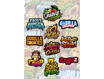 SCHNELL KNOSPEN - MIX PACK AUTO FEM