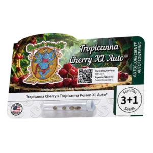 SWEET SEEDS - TROPICANNA CHERRY XL AUTO® FEM (SWS122)