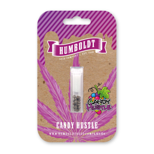 HUMBOLDT SEEDS COMPANY - CANDY HUSTLE FEM