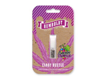 HUMBOLDT SEEDS COMPANY - CANDY HUSTLE FEM
