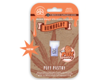 HUMBOLDT SEEDS COMPANY - PUFF PASTRY FEM