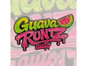 FAST BUDS - GUAVA RUNTZ AUTO FEM