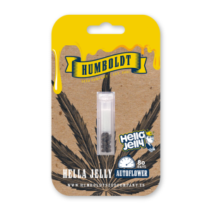 HUMBOLDT SEEDS COMPANY - HELLA JEELY AUTO