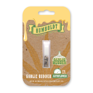 HUMBOLDT SEEDS COMPANY - GARLIC BUDDER AUTO