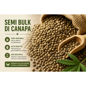 BULK 250 SEEDS COLLECTION ORIGIN CALIFORNIA