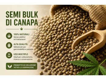 BULK 250 SEEDS COLLECTION ORIGIN CALIFORNIA