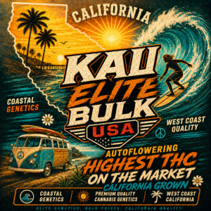 KALI ELITE BULK CO. - AUTO LEMON CANDY RUNTZ FEM