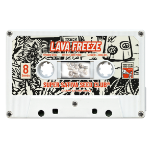 SUPER SATIVA SEED CLUB - LAVA FREEZE FEM