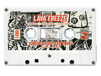 SUPER SATIVA SEED CLUB - LAVA FREEZE FEM