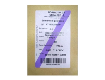 SEMI DI CANAPA VARIETA' CS CE