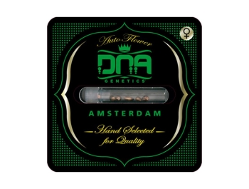 GENÉTICA DE ADN - 60 DÍAS DE LIMÓN AUTO FEM