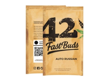 SCHNELLE KNOSPEN - ORIGINAL RUSSISCHE AUTO