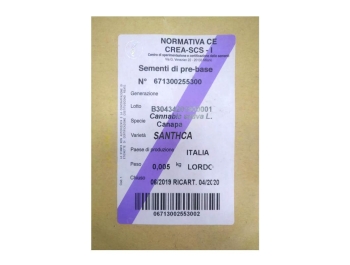 SEMI DI CANAPA VARIETA' SANTHICA CE