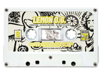 SUPER SATIVA SEED CLUB - LEMON OG FEM