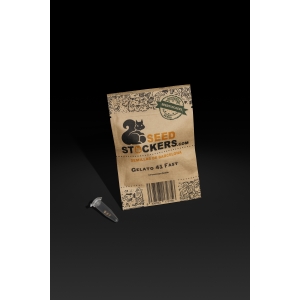 SEEDSTOCKERS - EISCREME 41 SCHNELL FEM