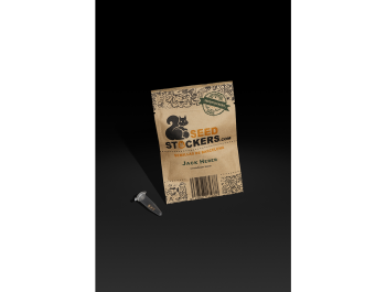 SEEDSTOCKERS - JACK HERER AUTO FEM