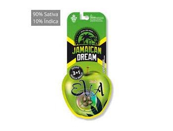 EVA SEEDS - JAMAICAN DREAM FEM