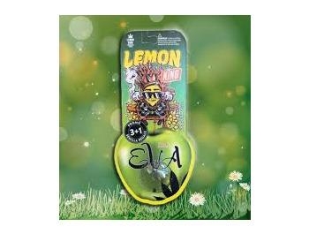 EVA SEEDS - LEMON KING FEM