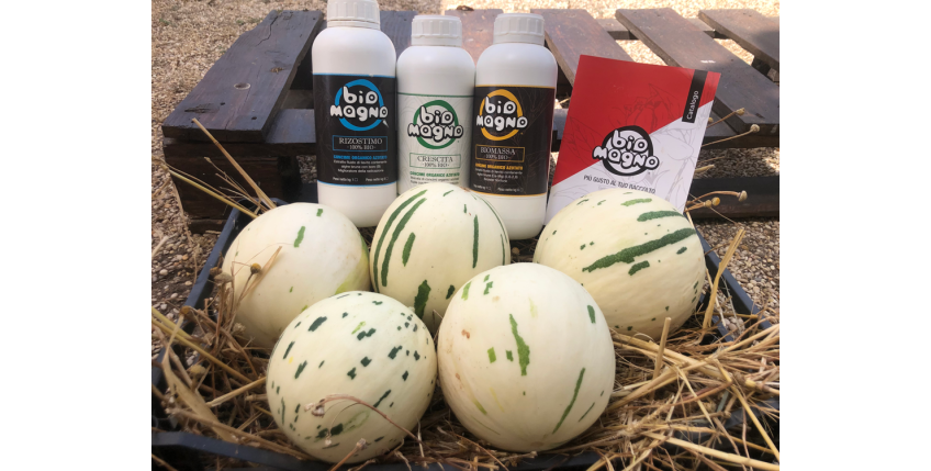 Prova sperimentale fertilizzanti organici Biomagno