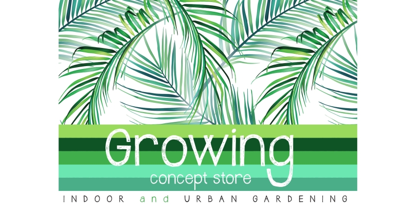 Prossima apertura a Pinerolo