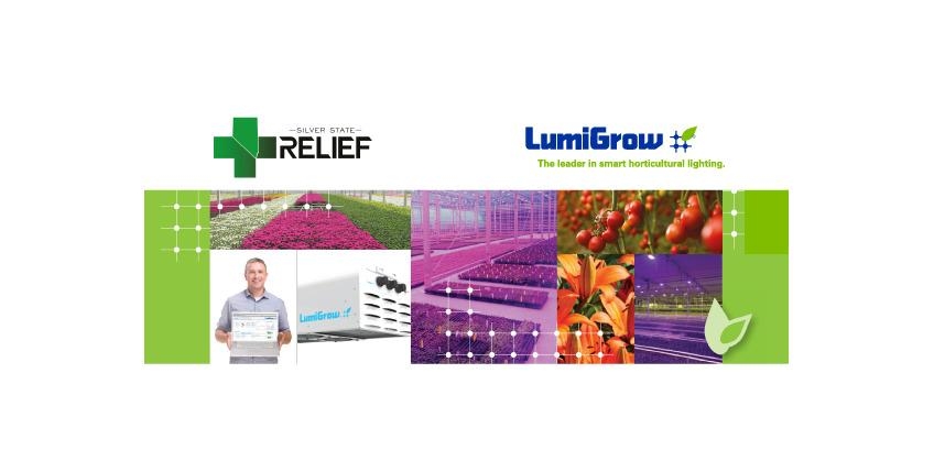 Occhiali Method Seven Cultivar