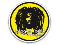 REGGAE SEEDS