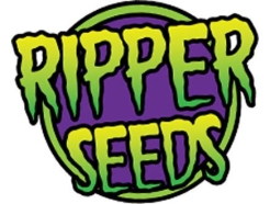 RIPPER SEEDS