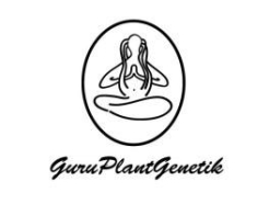 GURU PLANT GENETIK