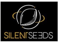 SILS007F05 - SILENT SEEDS - WATERMELON RUNTZ FEM | 5 SEMI