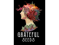 GRATEFUL SEEDS