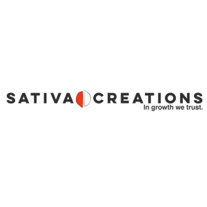 SCPB0010 - SATIVA CREATION - PEACH BUDDHA (CBD)  | 10 semi