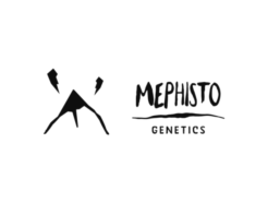 MEPHISTO GENETICS