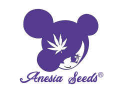 ANESIA SEEDS