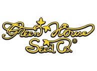 GHWCOXG#4103 - GREEN HOUSE SEED CO. - WEST COAST OG X GELATO #41 AUTOFLOWERING FEM | 3 SEMI