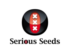 SERIOUS SEEDS