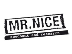 MR. NICE SEEDSBANK