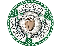 SOMA SEEDS