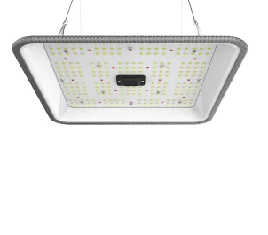 ORTOLED-90-FC-60W - ORTOLED - QUANTUM VOLL ZYKLUS 60W 2.7 | 60W SAMSUNG