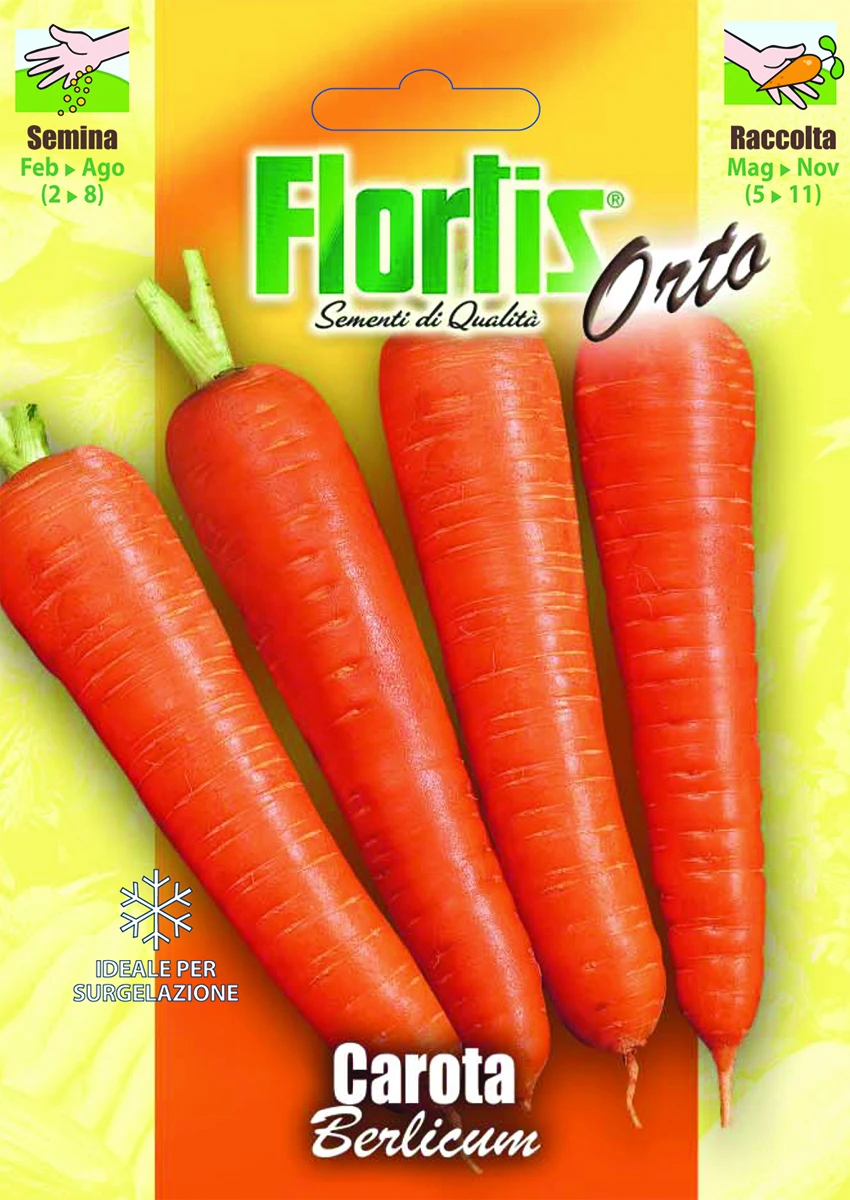 4355055 - FLORTIS | CAROTA BERLICUM