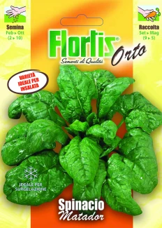 4355355 - FLORTIS | SPINACIO MATADOR