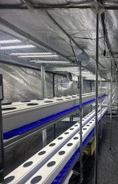 VF443561 - INDOORLINE - VERTICAL FARM 40 BASIC | 240x60x200h cm
