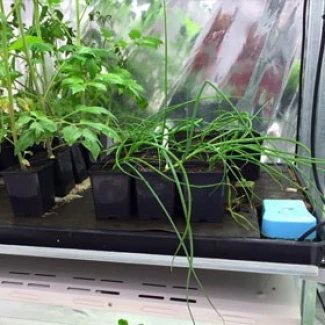 AUTOPOT - ROOT CONTROL FOR COCOMATS | 116x51cm