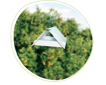 71828004PB - ADHESIVE REFILLS FOR UNIVERSAL PHEROMONE TRAPS