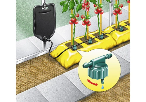 RGBI - IRRIGATION BAG 6 PLANTS